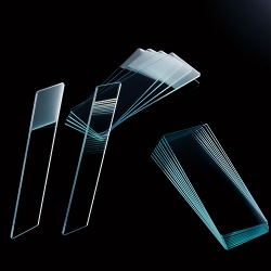 Lam kính Biologix-USA